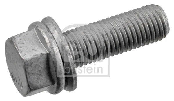 Bolt, brake caliper